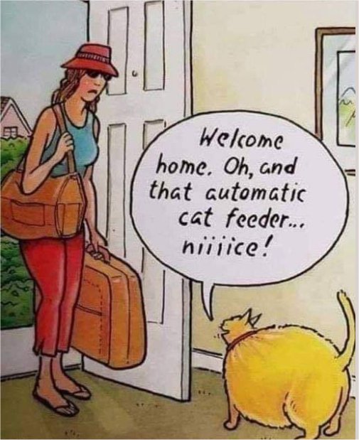 feeder  caturday majorgeeks.jpg
